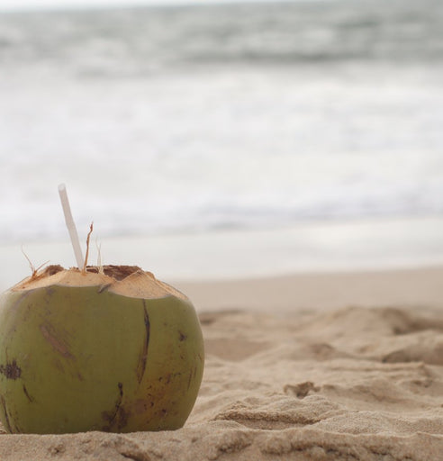 What is Coconut Water & Does it Have Any Benefits?